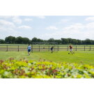 EXIT Scala fodboldmål i aluminium 500x200cm